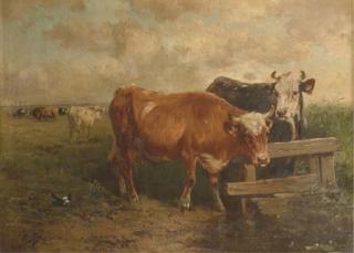 Henry Schouten - Cattle in a pasture