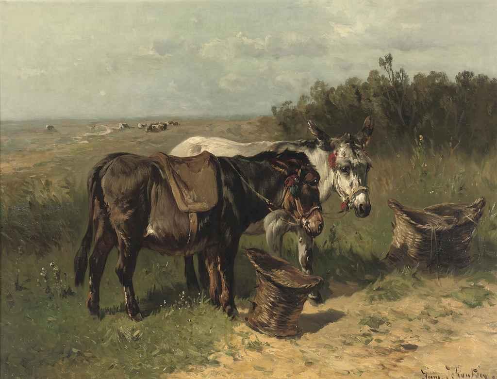 Henry Schouten - Donkeys in a field