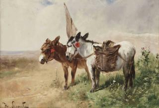 Henry Schouten - Donkeys