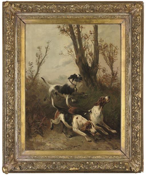 Henry Schouten - On the scent