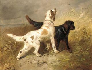 Henry Schouten - Two gun dogs on the hunt