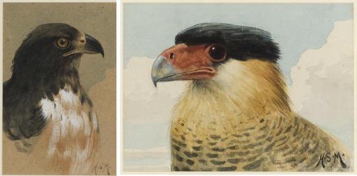 Henry Stacy Marks, R.A., R.W.S. - A Peregrine Falcon; An Imperial Eagle
