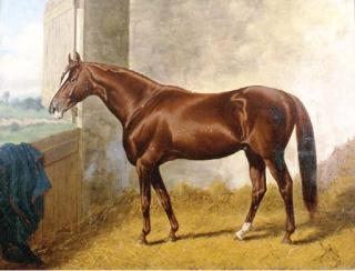 Henry Stull - A bay horse in a stall
