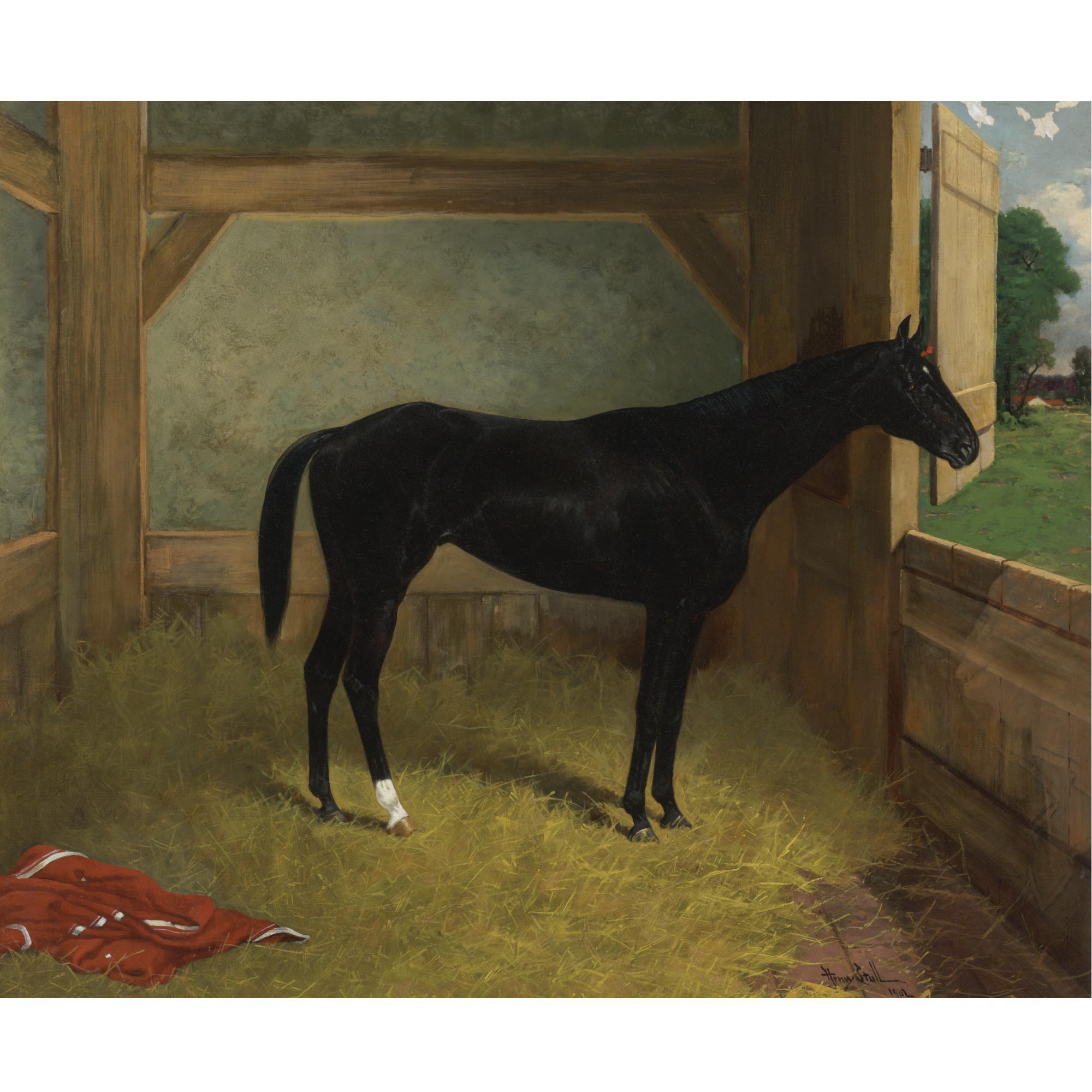Henry Stull - American Black Horse