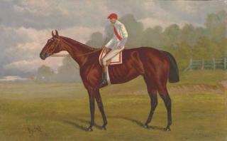 Henry Stull - Ban Fox, with William Hayward up