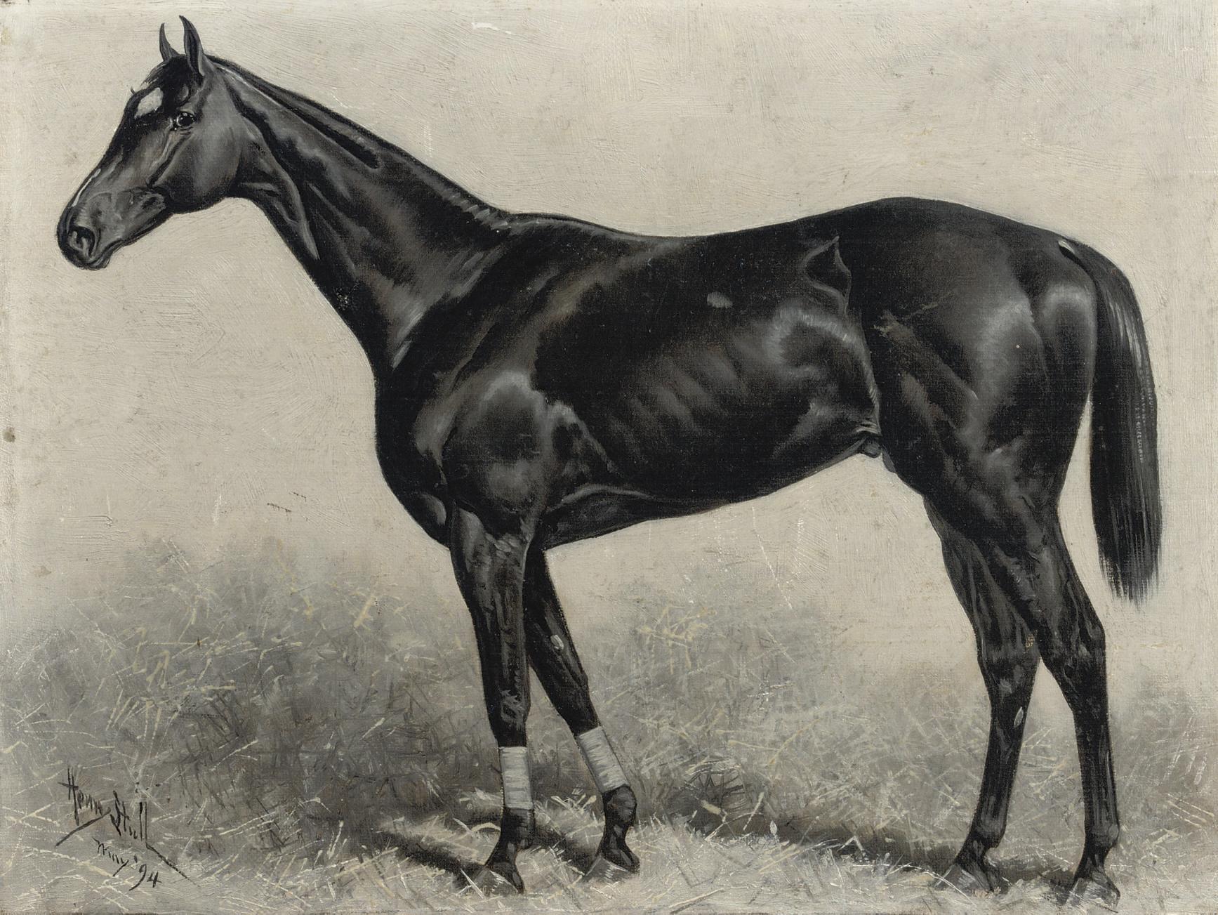 Henry Stull - Dr Rice, winner of the Brooklyn Handicap 1894, Gravesand