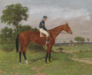 Henry Stull - White Crest with jockey up