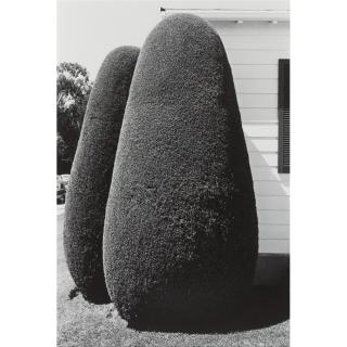 Henry Wessel, Jr. - Selected Images