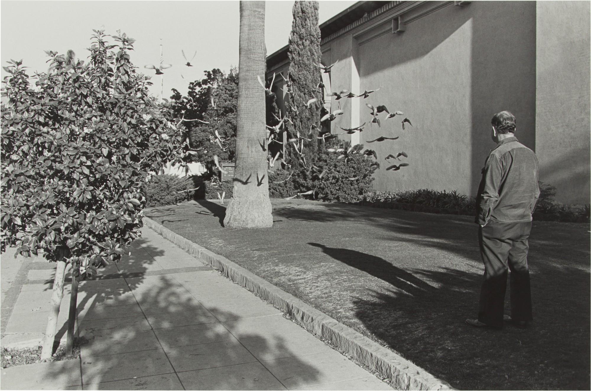 Henry Wessel, Jr. - Selected Images