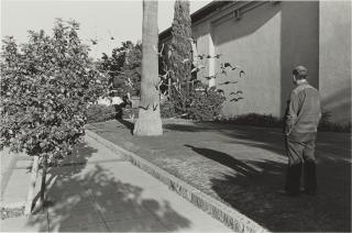 Henry Wessel, Jr. - Selected Images