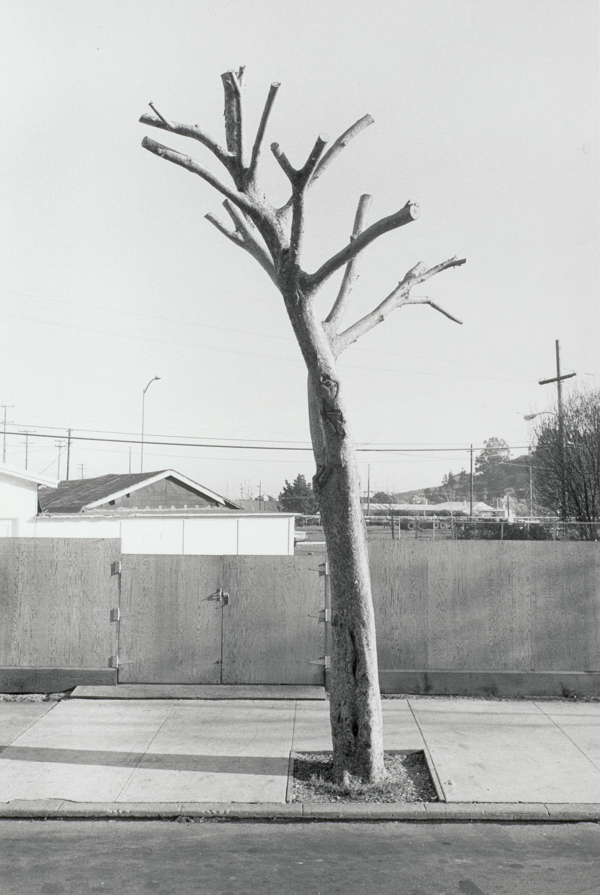 Henry Wessel - Point Richmond, California