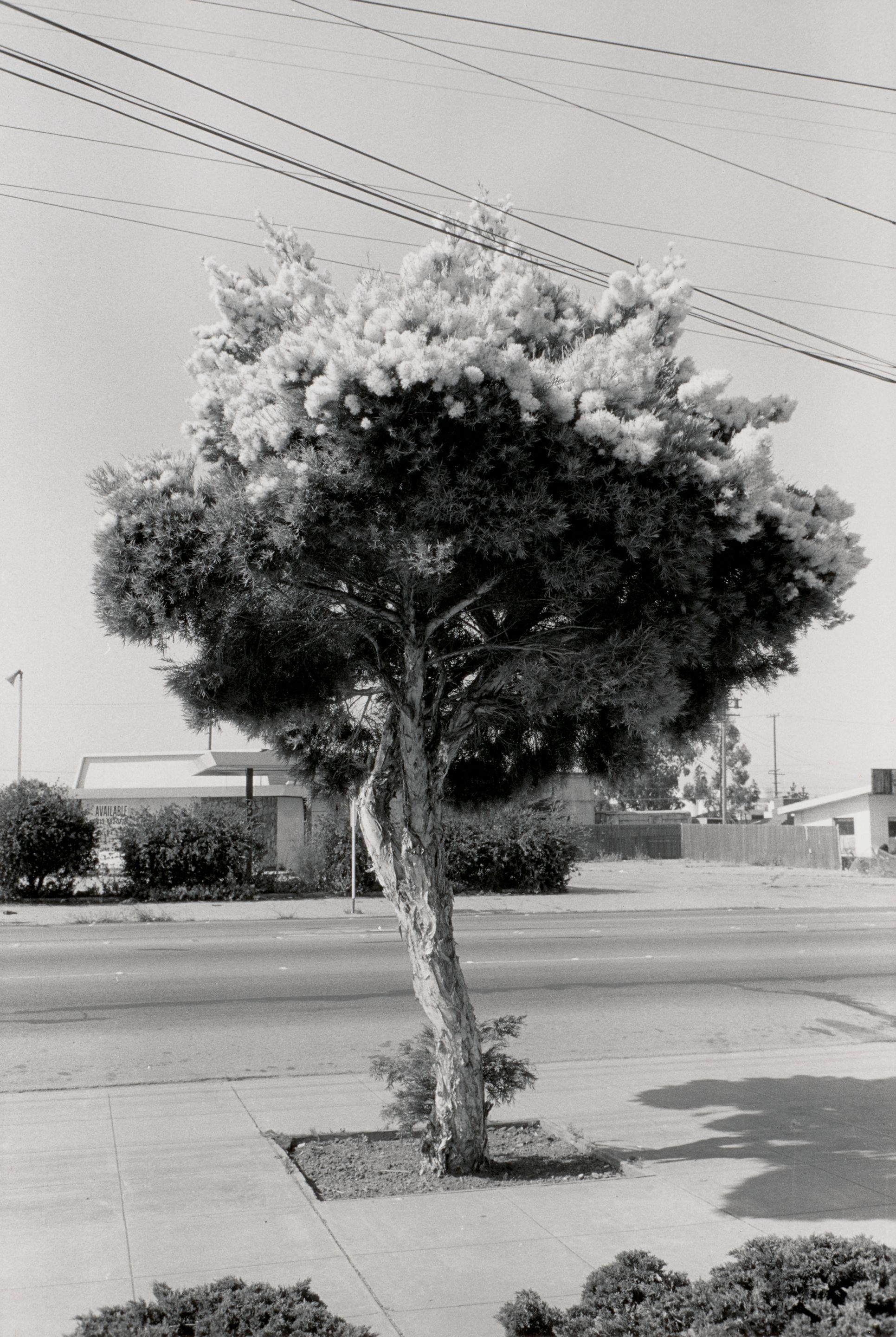 Henry Wessel - Richmond, California