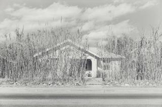 Henry Wessel - Tucson, Arizona, 1974