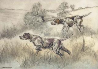 Henry Wilkinson - Setters on the point