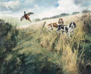 Henry Wilkinson - Spaniels putting a pheasant up