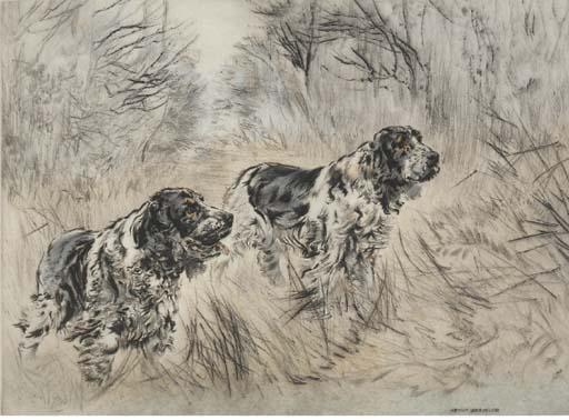 Henry Wilkinson - Spaniels
