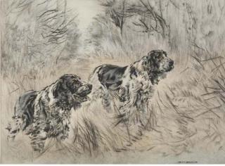 Henry Wilkinson - Spaniels