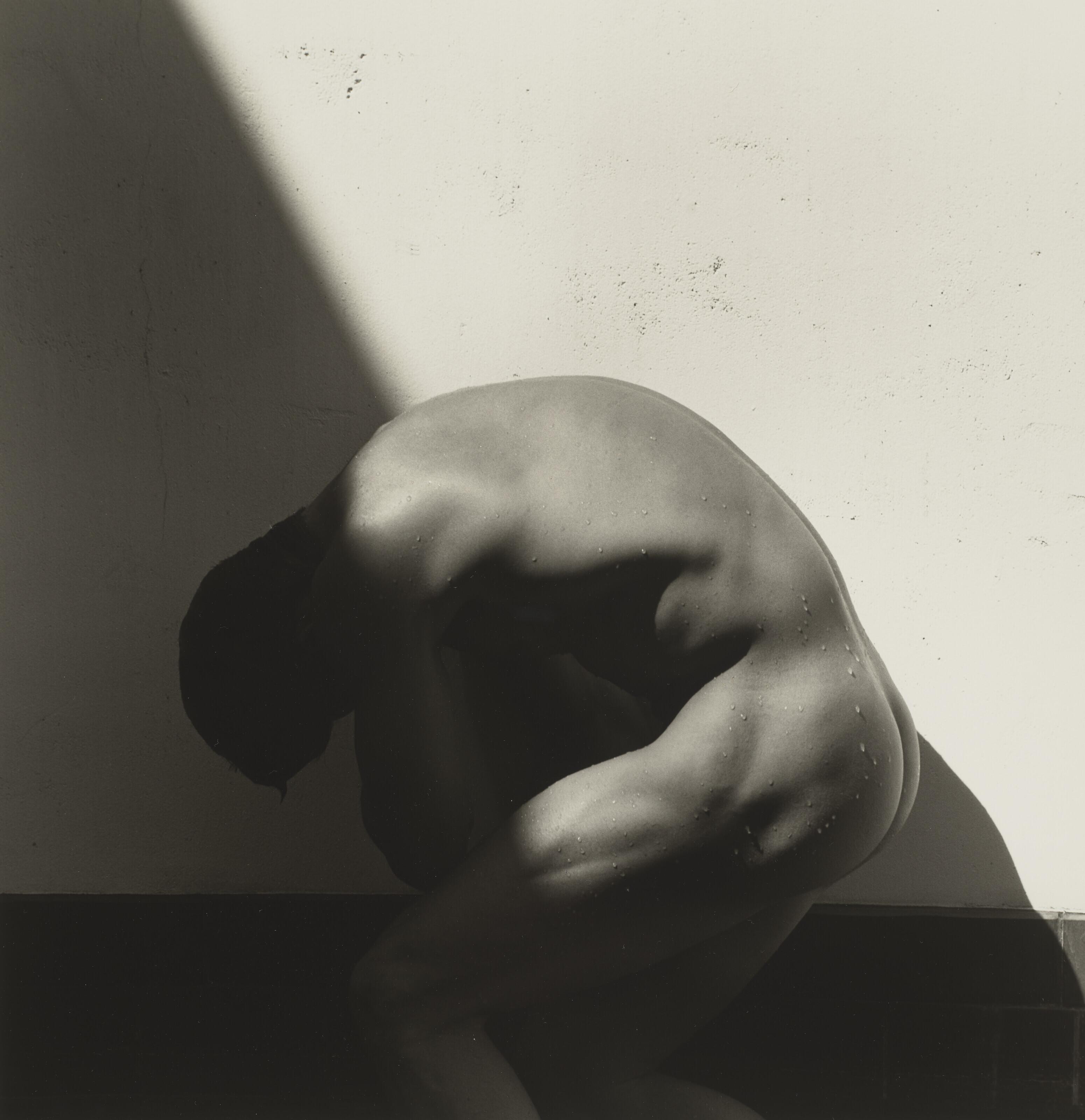 Herb Ritts - Curved Torso, Hollywood, 1989
