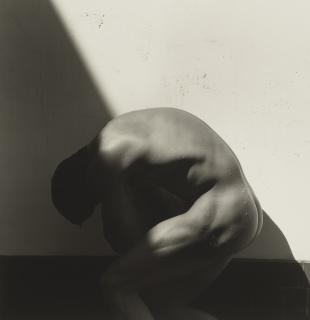 Herb Ritts - Curved Torso, Hollywood, 1989