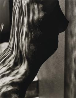 Herb Ritts - Female Torso, Detail, Hollywood, 1989