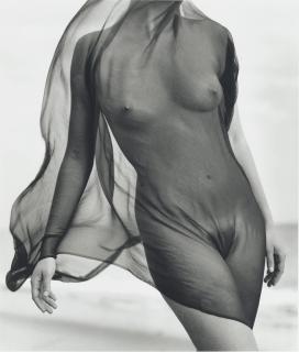 Herb Ritts - Female Torso with Veil, Paradise Cove, 1984