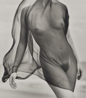 Herb Ritts - Female Torso with Veil, Paradise Cove, California, 1984