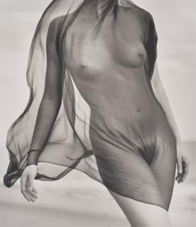 Herb Ritts - Female Torso with Veil, Paradise Cove, California, 1984