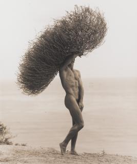 Herb Ritts - Male Nude With Tumbleweed, Paradise Cove, 1986