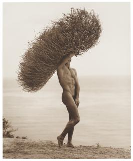 Herb Ritts - Male Nude With Tumbleweed, Paradise Cove, 1986