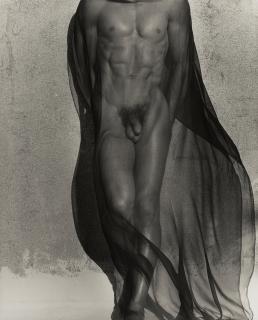 Herb Ritts - Male Torso with Veil (Full Length), Silverlake