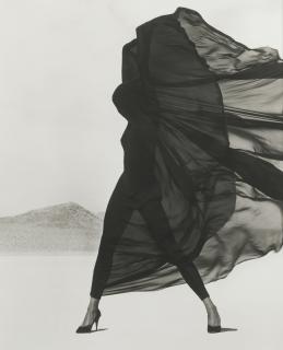 Herb Ritts - Versace, Veiled Dress, El Mirage, 1990Silver Print Flush-Mounted To Card. On The Reverse Of The Card, Signed, Titled, Dated And Numbered 15/25 In Pencil. Mounted And Framed.