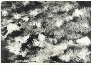 Herbert Brandl - Ohne Titel