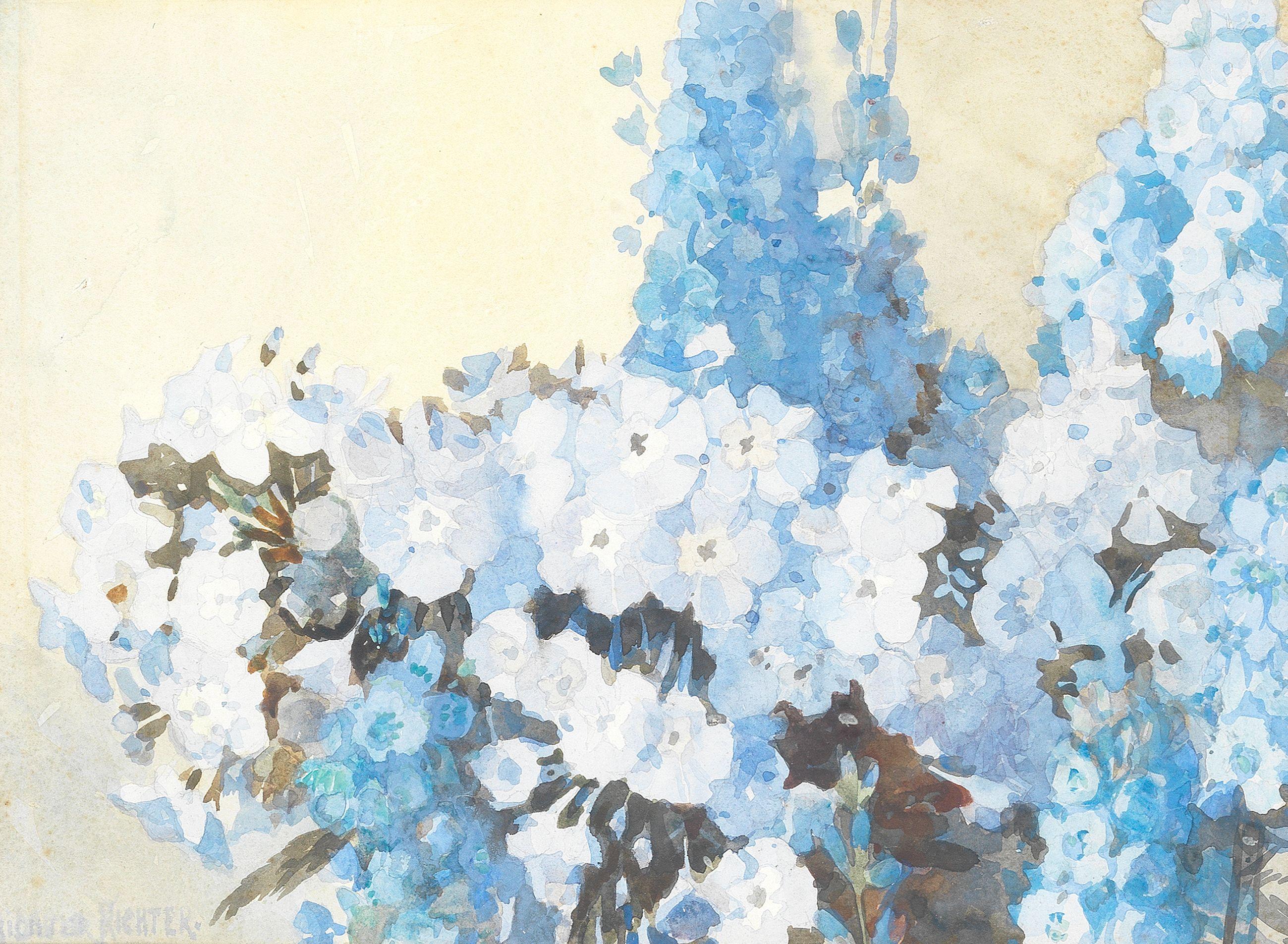 Herbert Davis Richter - Phlox