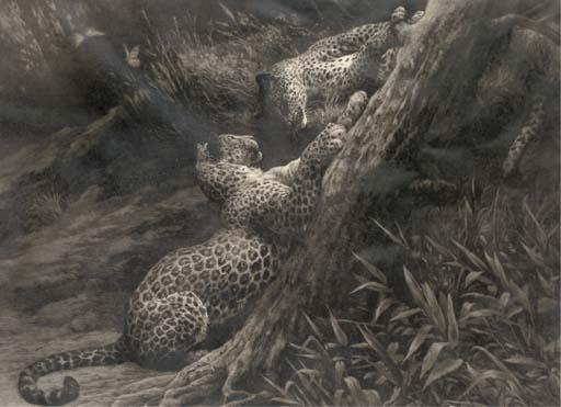 Herbert Dicksee - Leopard cubs at play
