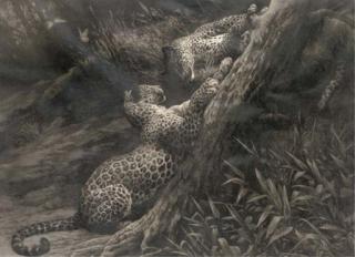 Herbert Dicksee - Leopard cubs at play