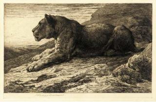 Herbert Dicksee - Lioness