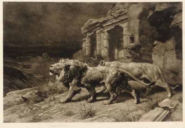 Herbert Dicksee - Lions before temple ruins