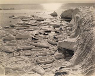 Herbert G. Ponting - Seals Basking on Pancake Ice, Antarctica, c. 1911