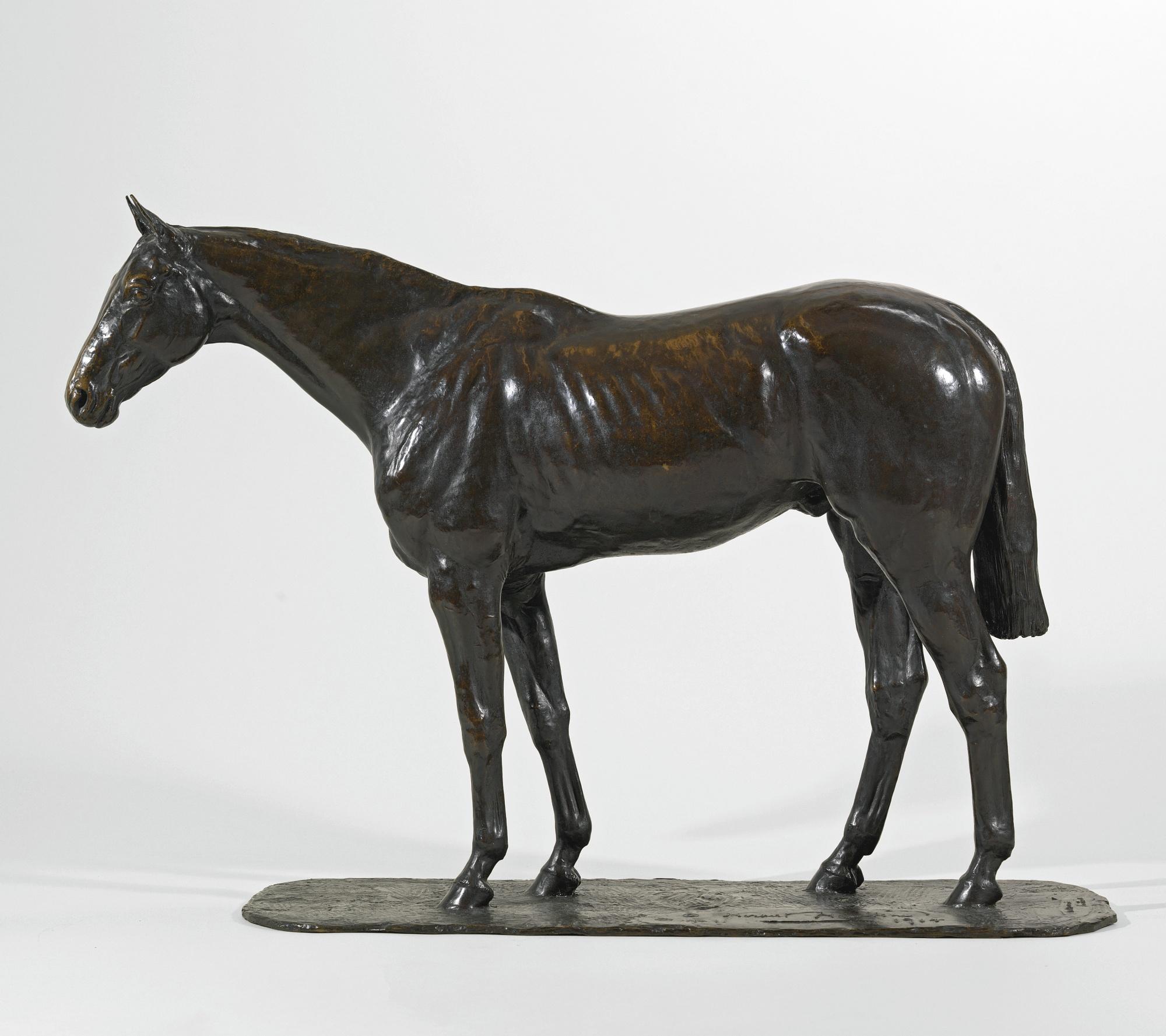 Herbert Haseltine - The Perfect Thoroughbred