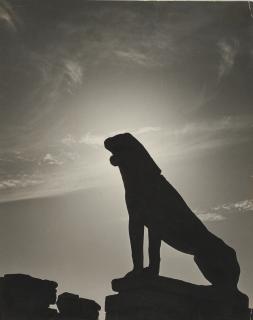 Herbert List - Archaischer Löwe, Delos 1