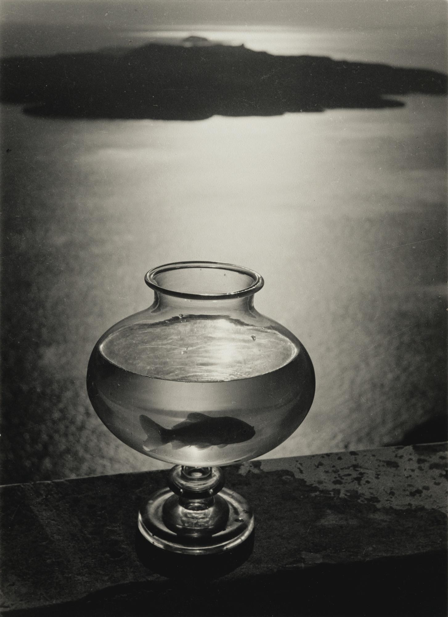 Herbert List - Goldfish Bowl\'