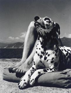 Herbert List - Herr und Hund, 1936