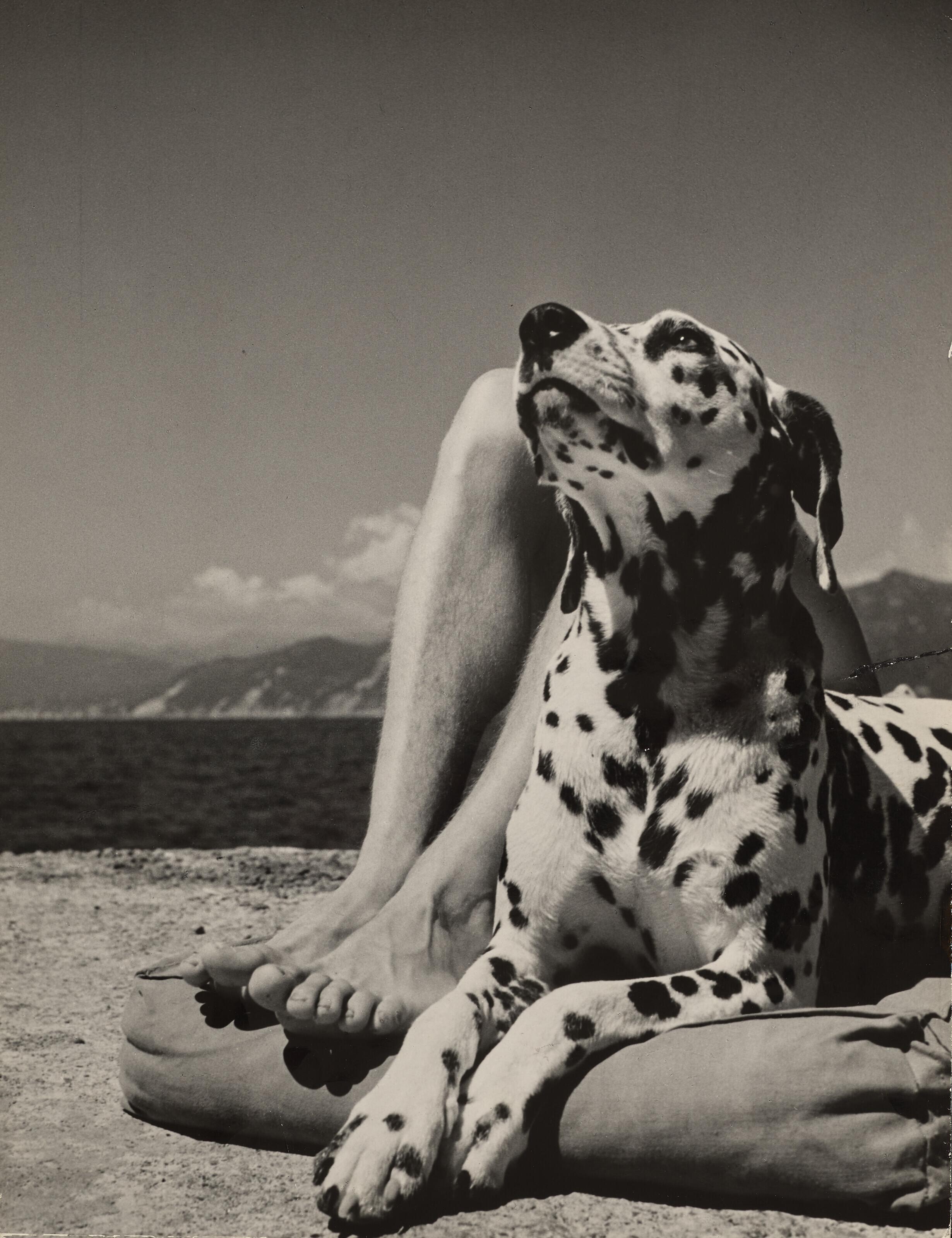 Herbert List - Herr und Hund (Master and Dog), Portofino, Italy, 1936
