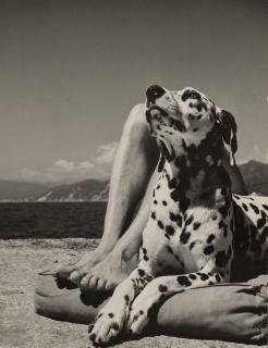 Herbert List - Herr und Hund (Master and Dog), Portofino, Italy, 1936