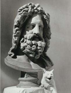 Herbert List - Jupiter Und Die Katze I, 1949Vintage Silver Print, With The Photographer\'S Copyright Stamp On The Reverse.
