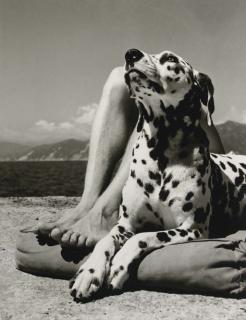Herbert List - Man And Dog, Portofino, 1936