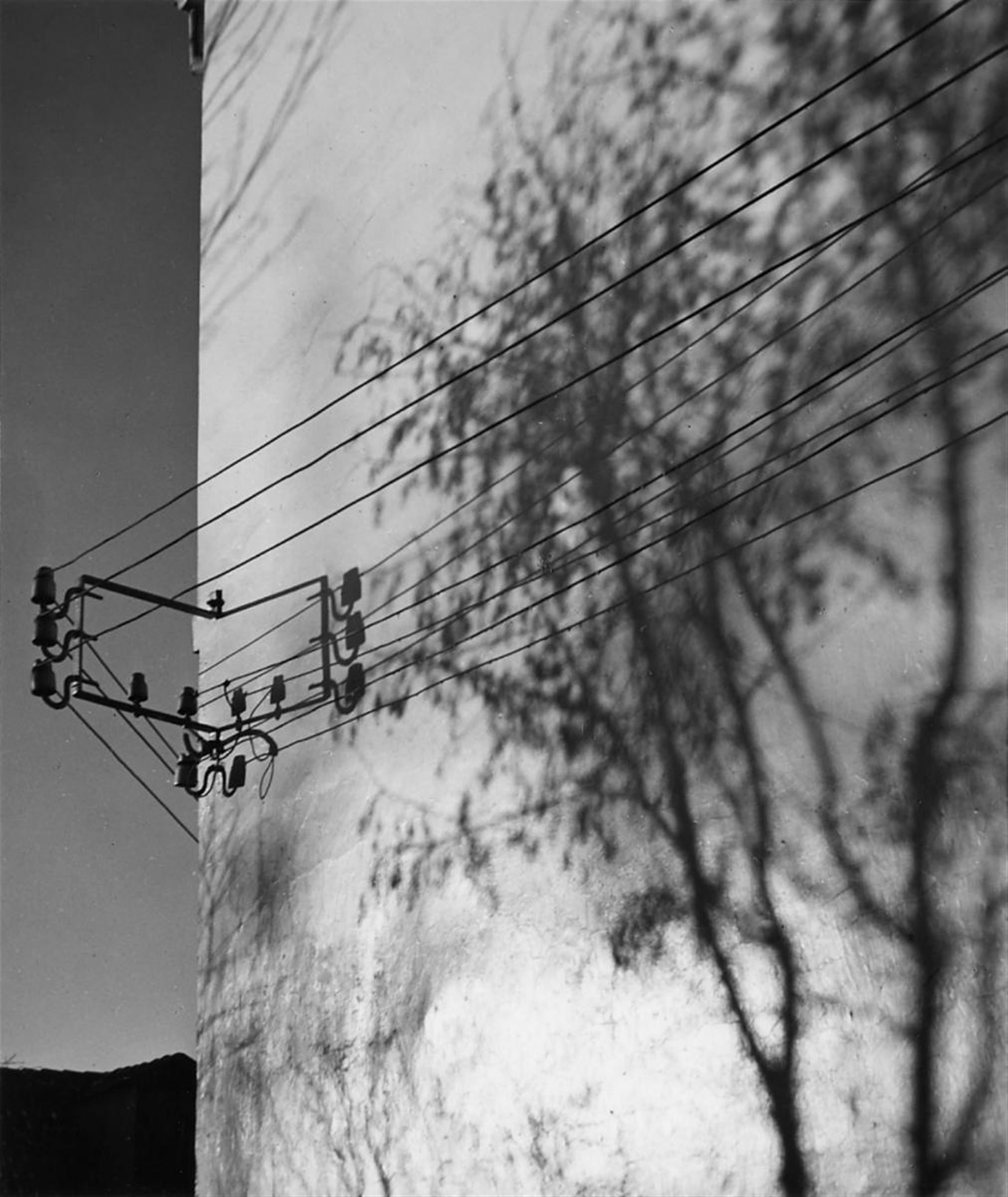 Herbert List - Ohne Titel