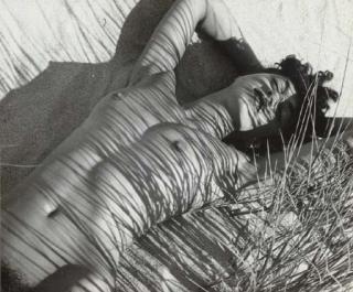 Herbert Matter - Nude in Reeds, c. 1940