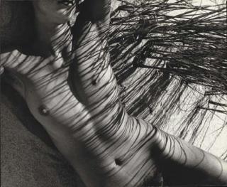 Herbert Matter - Nude (Mercedes Matter), C.1946