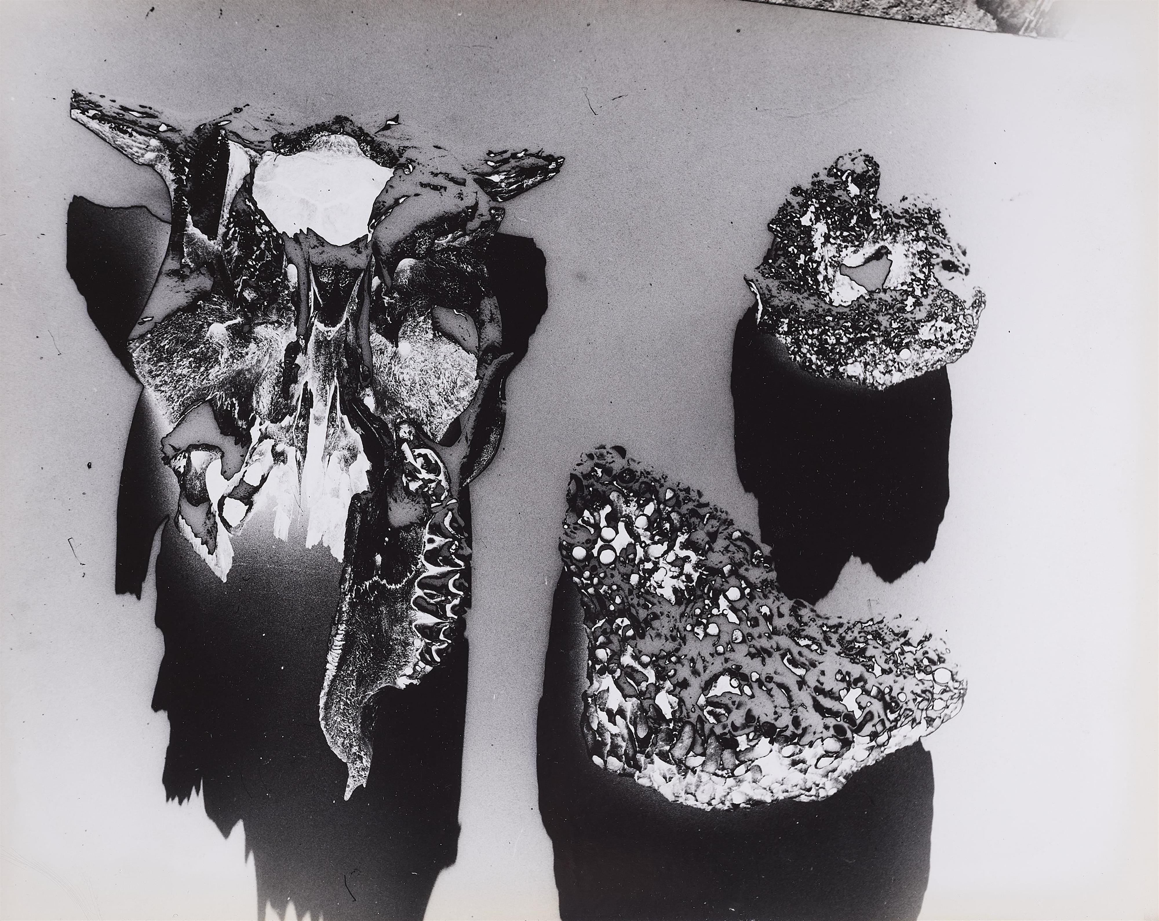 Herbert Matter - Ohne Titel